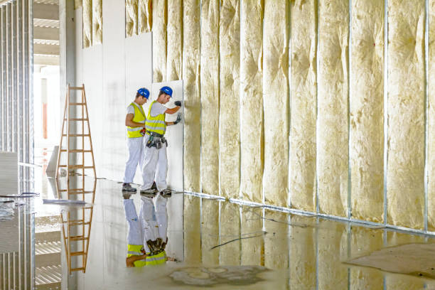 Best Insulation Maintenance and Repair in Singac, NJ